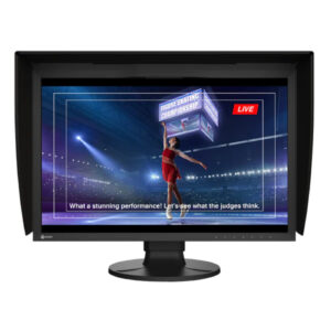 Ecran EIZO CG 2400 SV