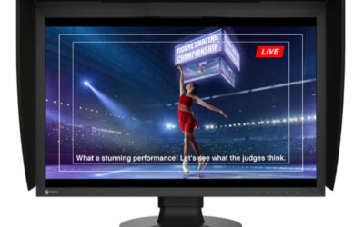 Ecran EIZO CG 2400 SV